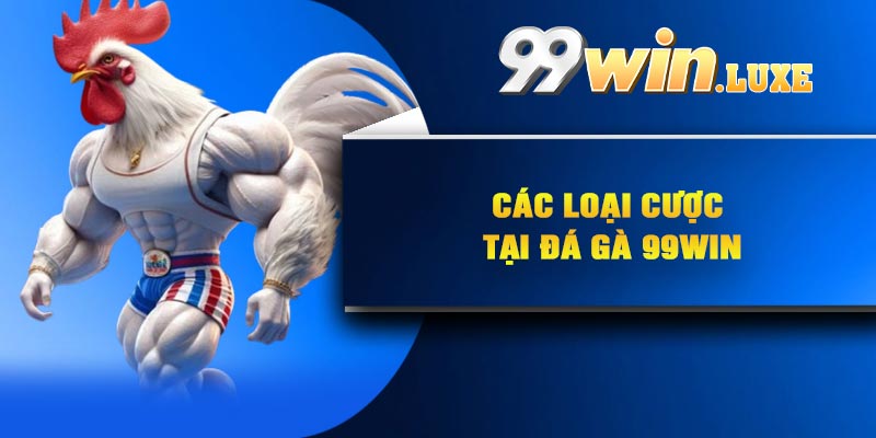 Các loại cược tại đá gà 99Win