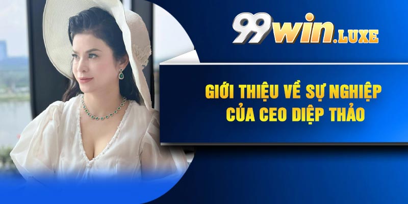 Giới thiệu về sự nghiệp của Ceo Diệp Thảo